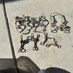 Horse Bridle Freno para Caballo