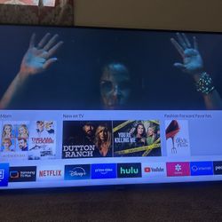 Samsung 65 Inch