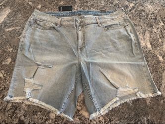 Women's Shorts Size 20