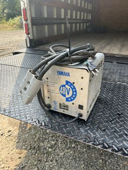 Yamaha 48 Volt Charger 