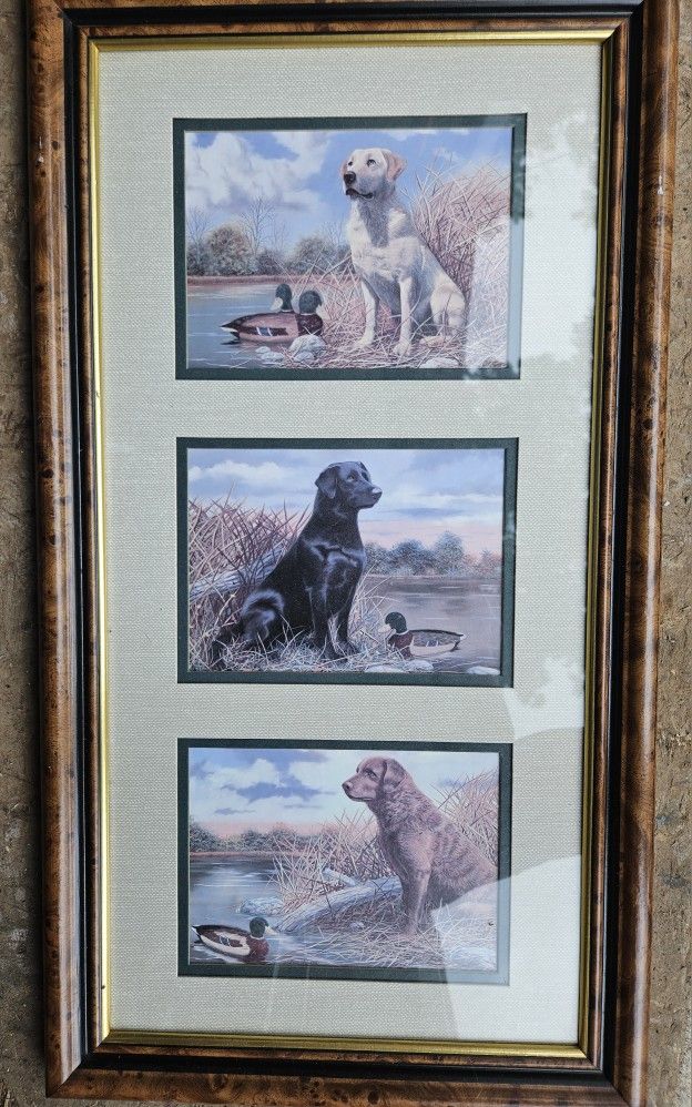 VTG RARE Home Interior Golden, Black & Brown Labrador Retrievers 13 1/2”x24 1/2” Picture in Frame