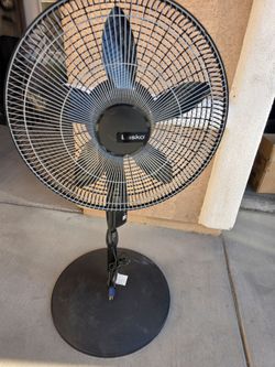 Lasko Black Pedestal Standing Fan