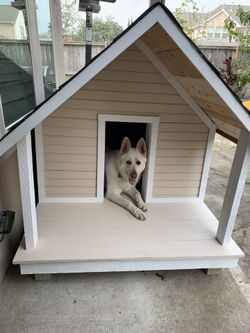 Dog 🐕 house 🏡