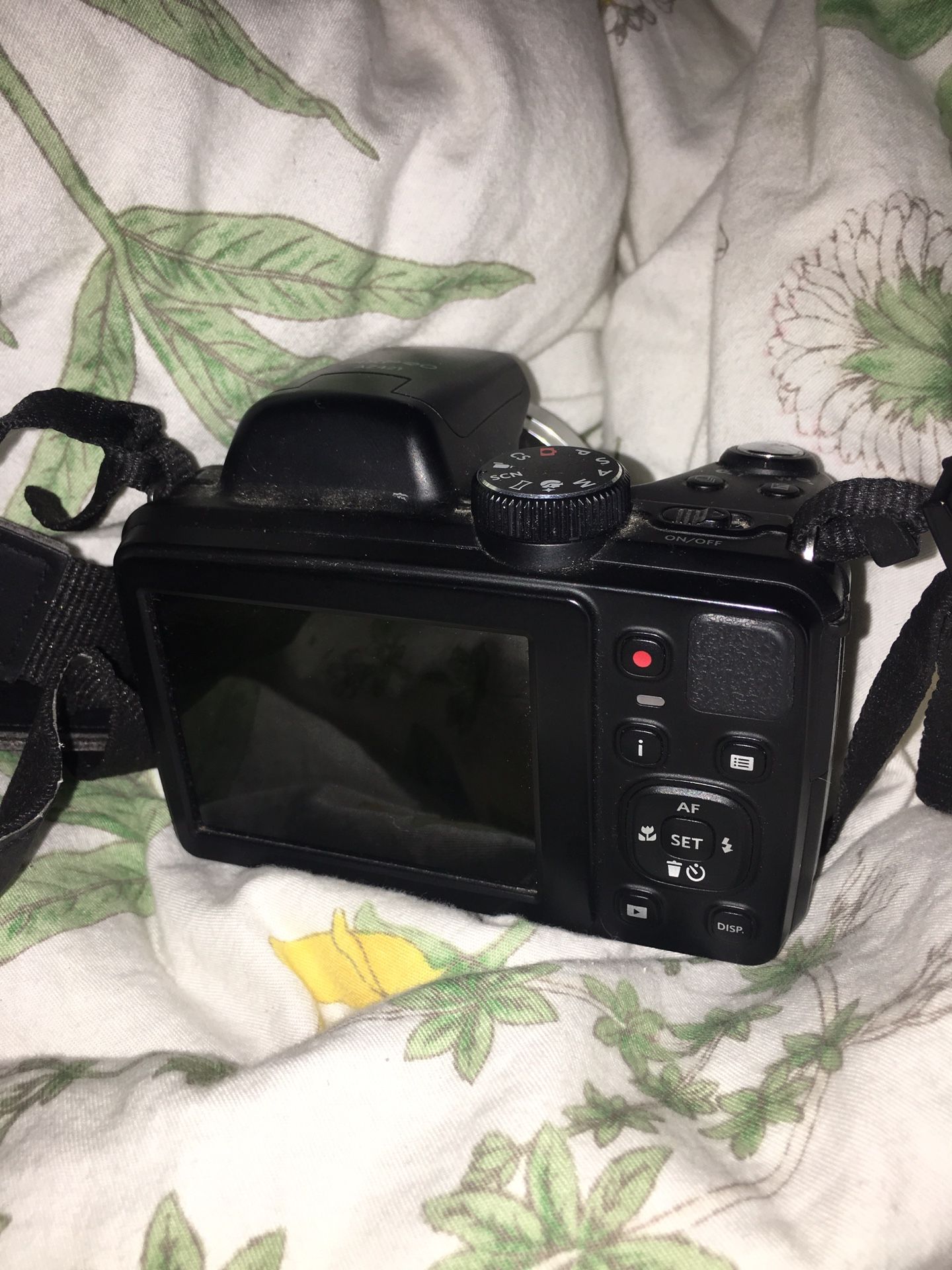 Kodak