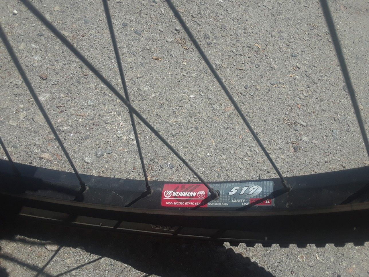 midway beach cruiser