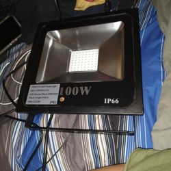100 Watt Uv/Black Flood Light 