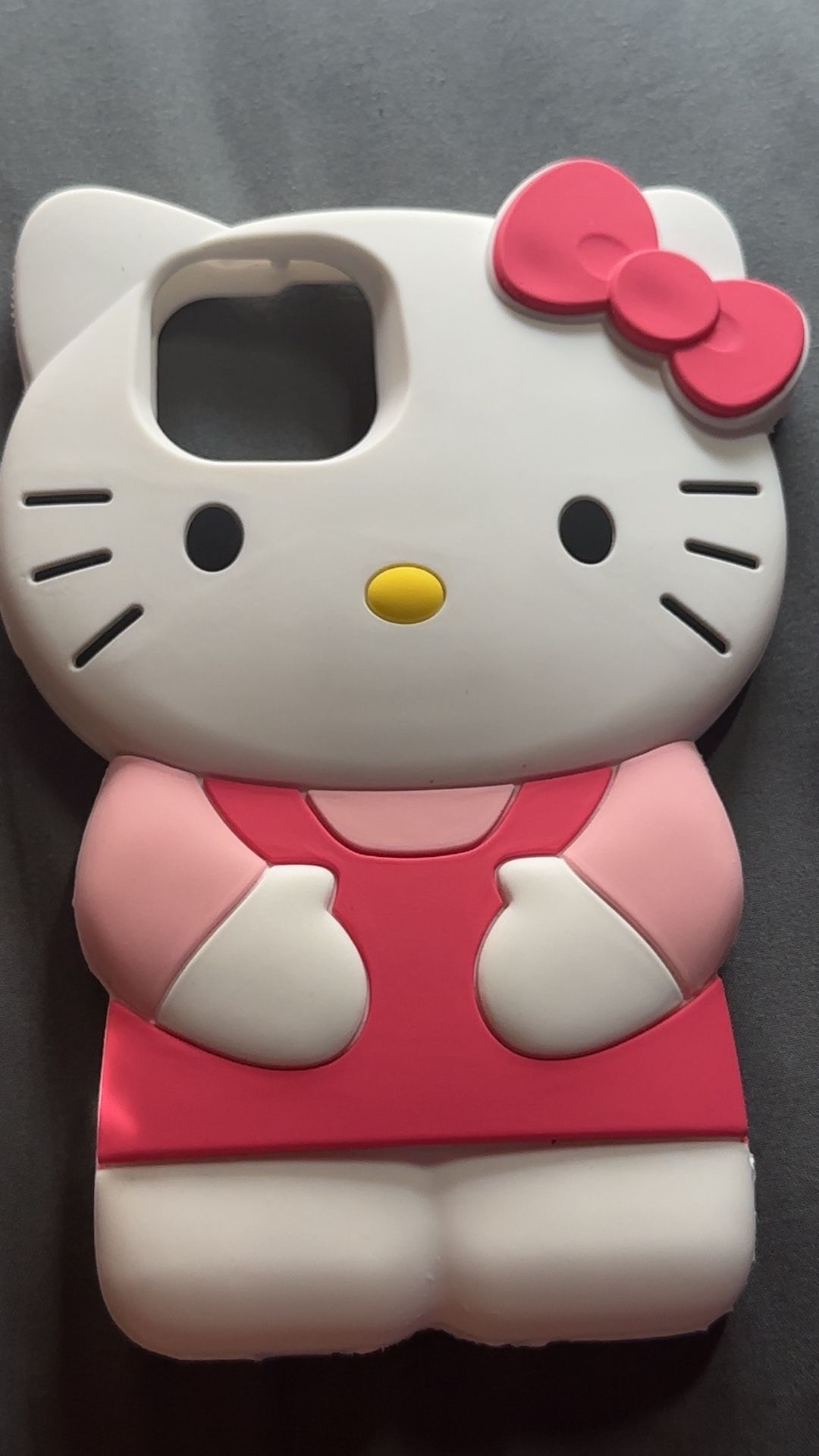 Hello Kitty Case