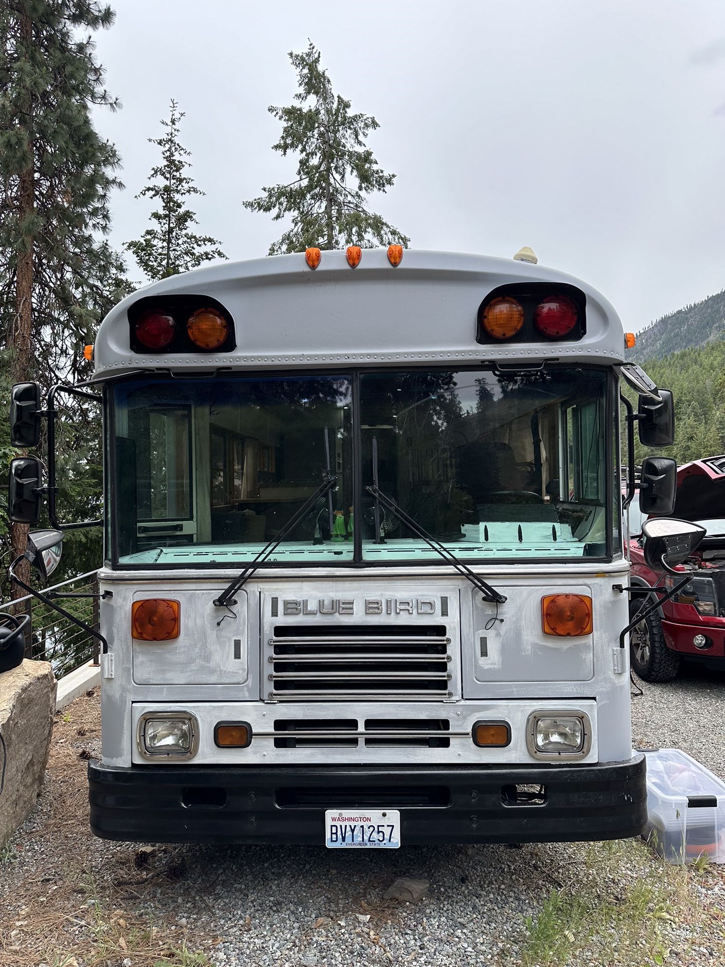 Skoolie - 1994 Bluebird school bus converted to RV
