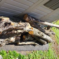 Fire Wood, Apple Tree