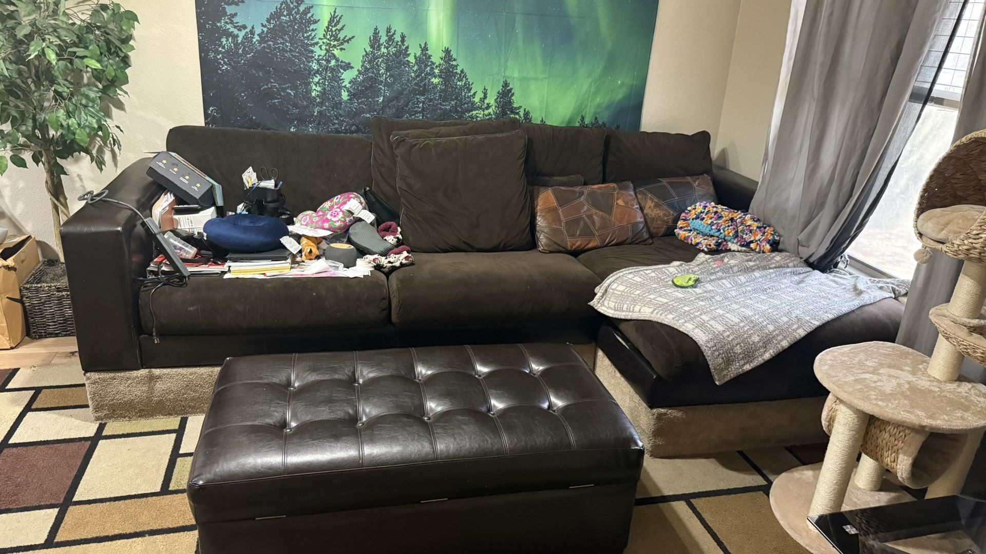 Free couch w/pillows, ottoman and rug