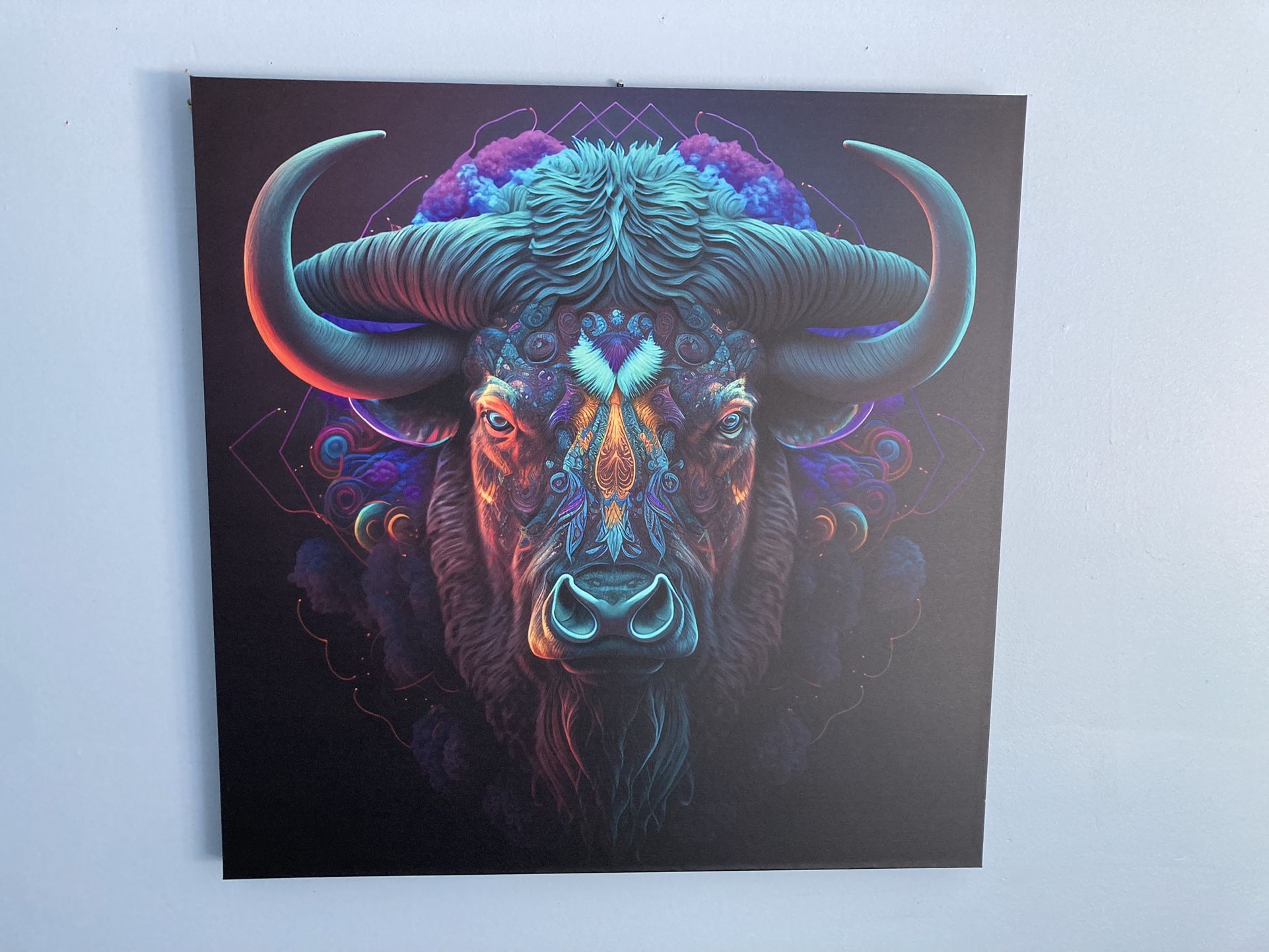 Buffalo Canvas Hanging Wall Art 