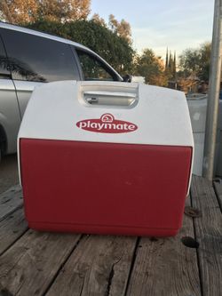 Playmate cooler lunch box red