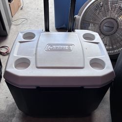 Cooler