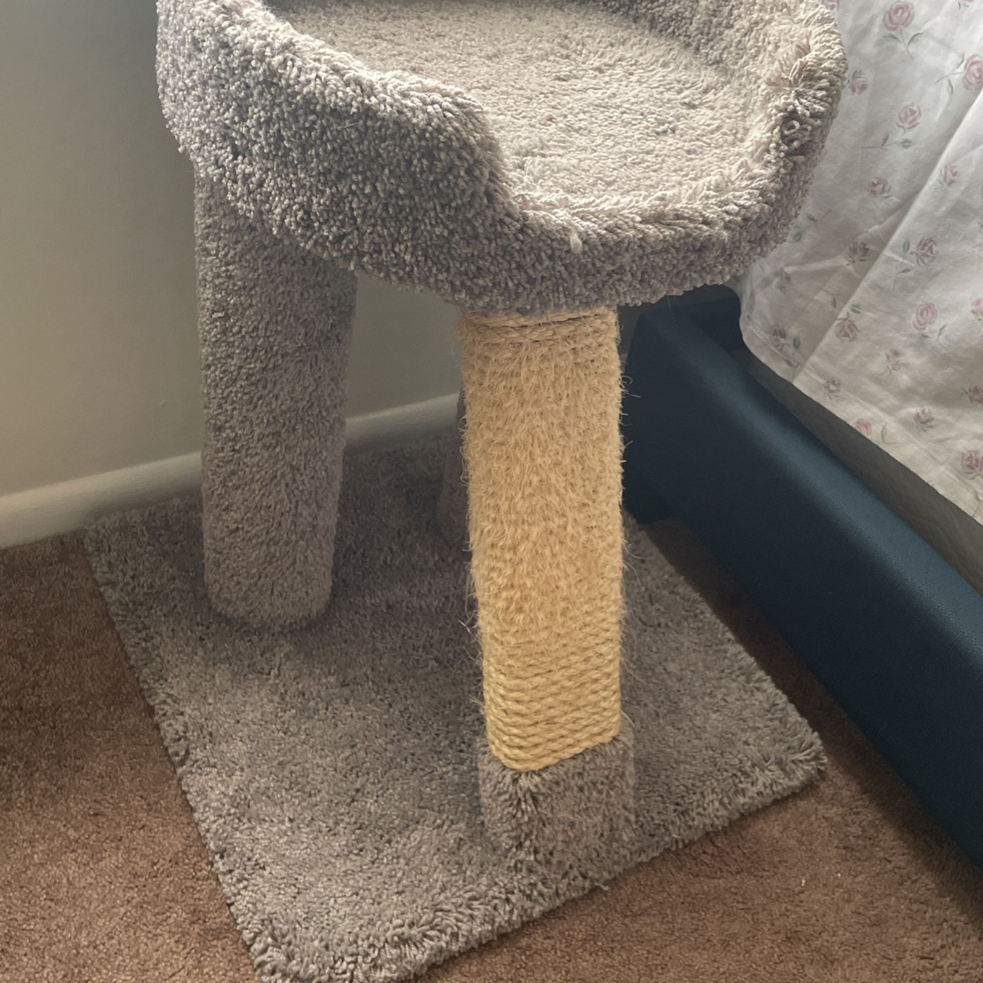 Cat tree (great condition!)