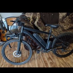 Electric Bike -   eBike