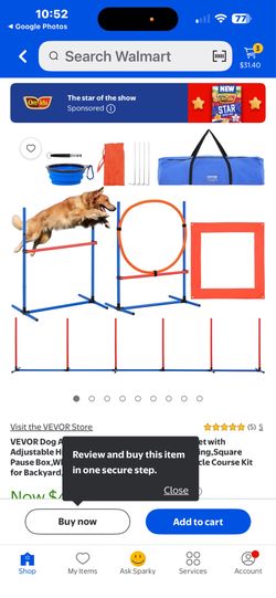 Pet traing system