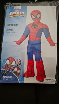 Spiderman costume