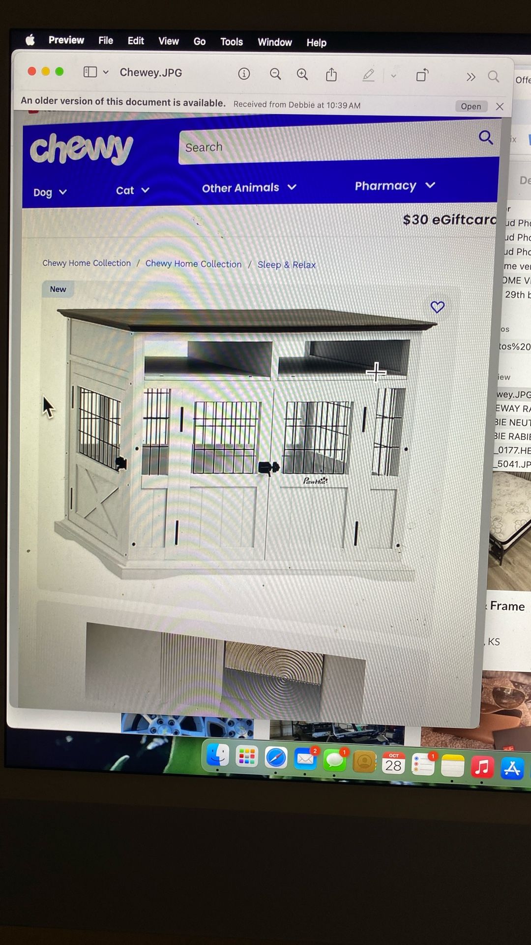Dog Kennel