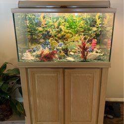 Fish Tank And Cabinet 