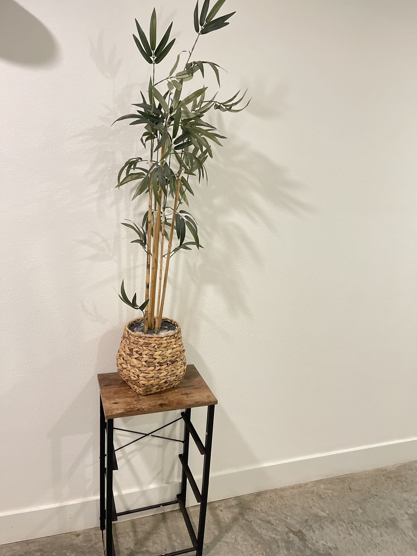 Plant Stool & Plant 