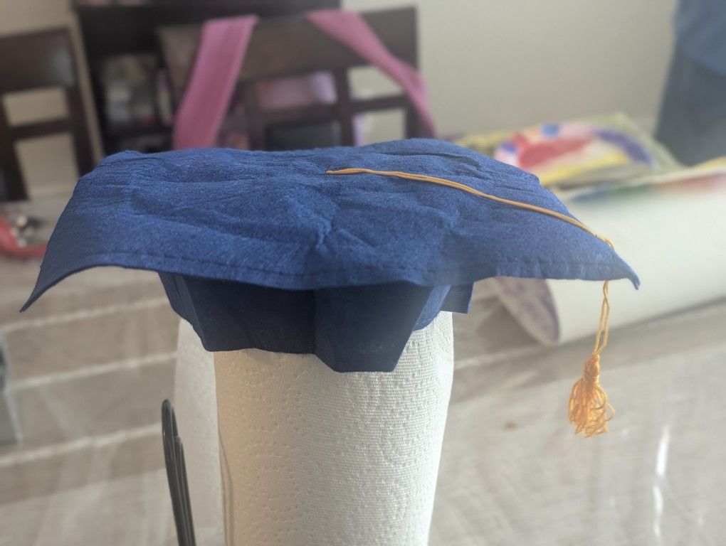 12 Child Sized Felt Graduation Caps