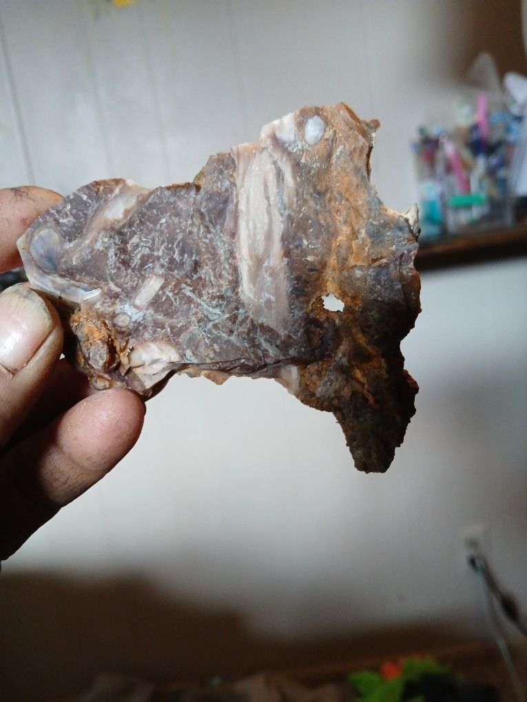 Petrified Wood