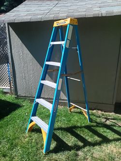 Werner Ladder 250lbs Weight Capacity 6' Foot Tall