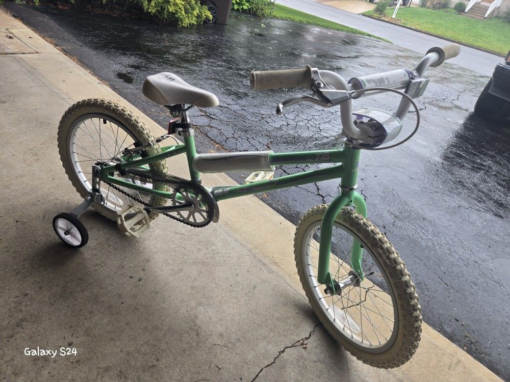 Haro Youth Bicycle