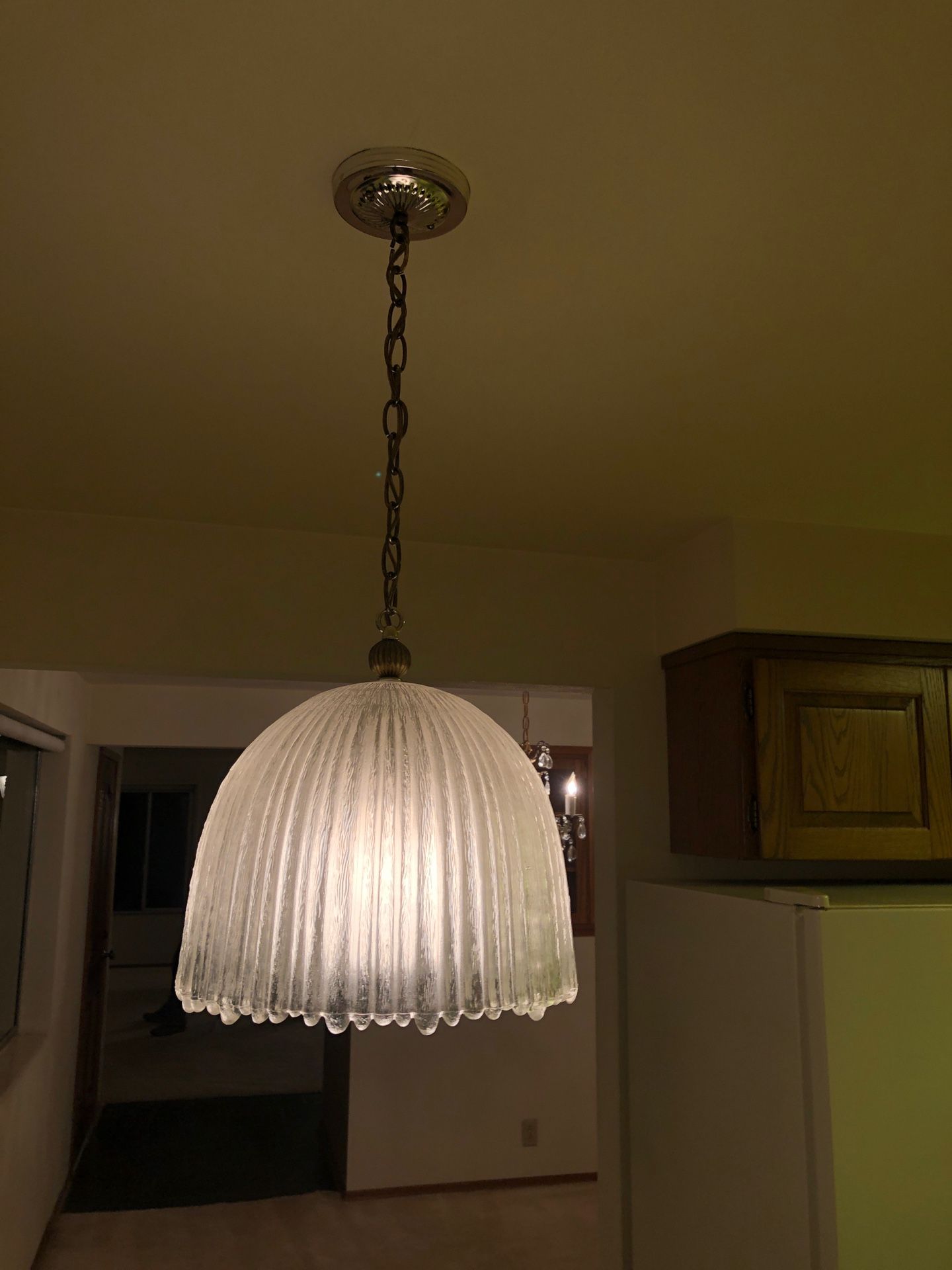 Simple Frosted Chandelier Light Fixture