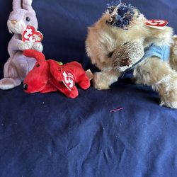 Beanie Babies Collection 