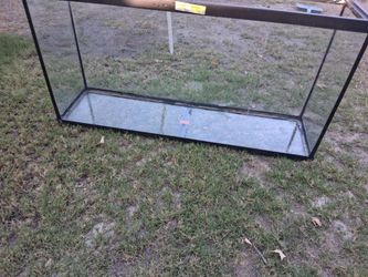 55 gallon