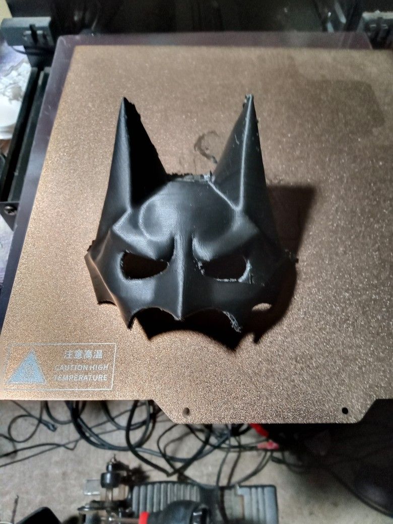 3D Printed Batman Mask For Your Cat..