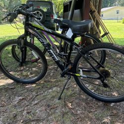 Schwinn Bicycles 