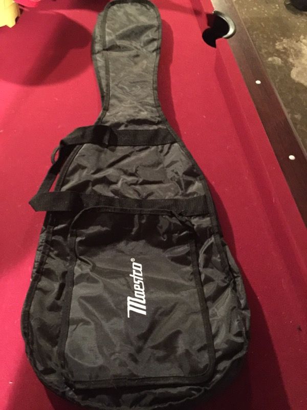 Guitar case