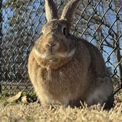 Easter Photos