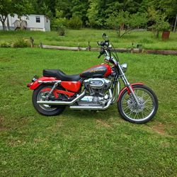Harley Sporster 2006 1200cc  Xl