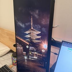 200hz Ultrawide Gaming/Productivity Monitor - MSI MAG301RF 30" IPS