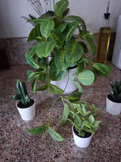 Fake plant set
