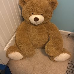Big Teddy Bear