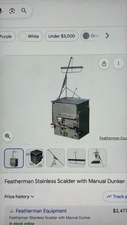 Featherman bird Scalder