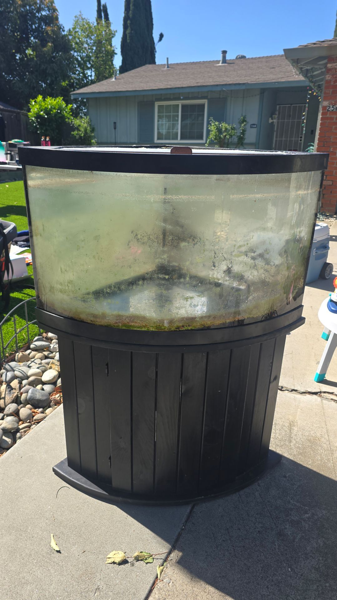 54 gallon corner bow aquarium