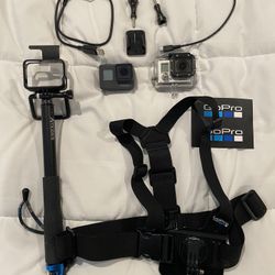GoPro
