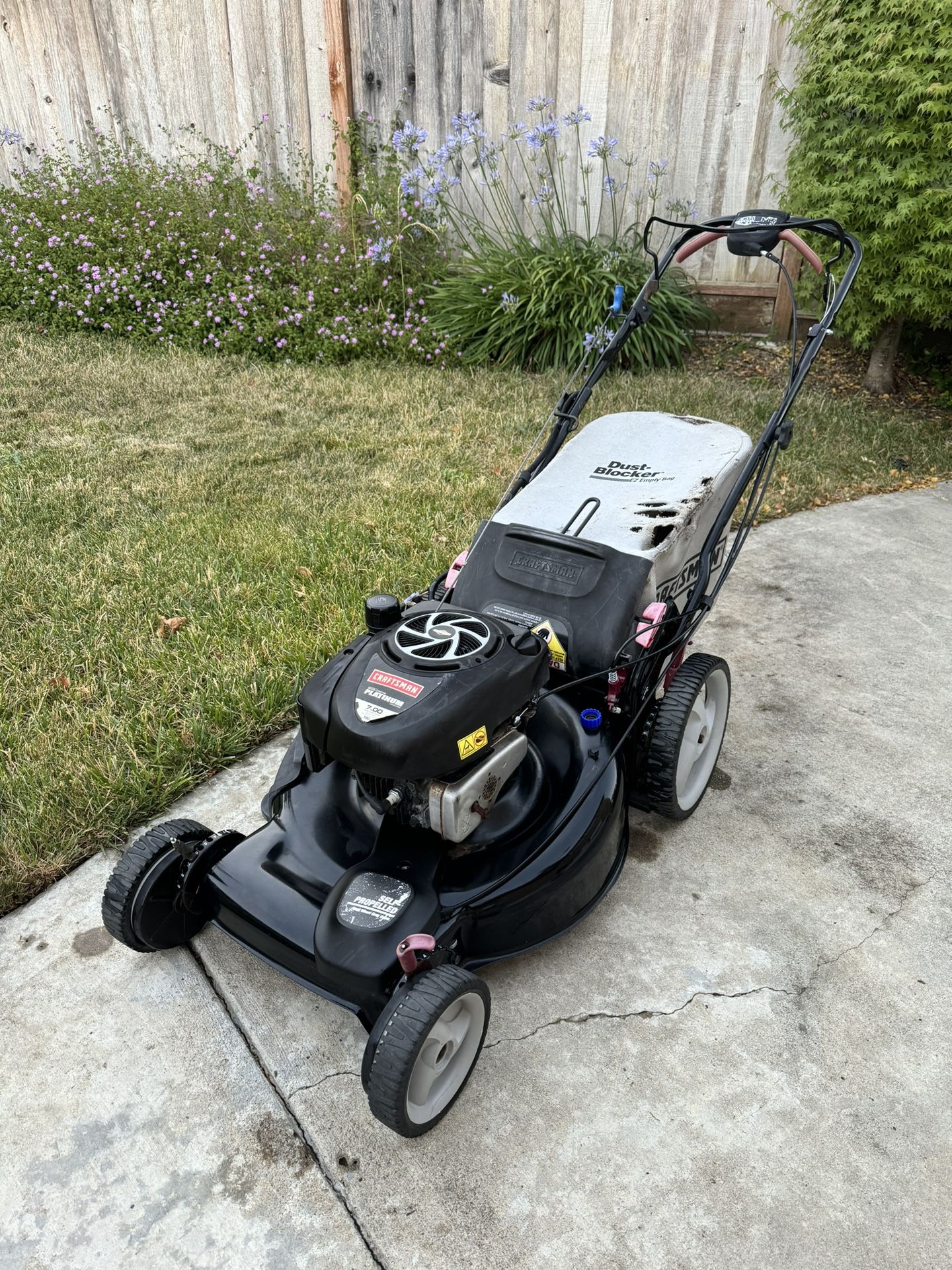 Craftsman Briggs & Stratton 190cc Gas Lawn Mower