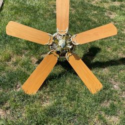 Ceiling Fan