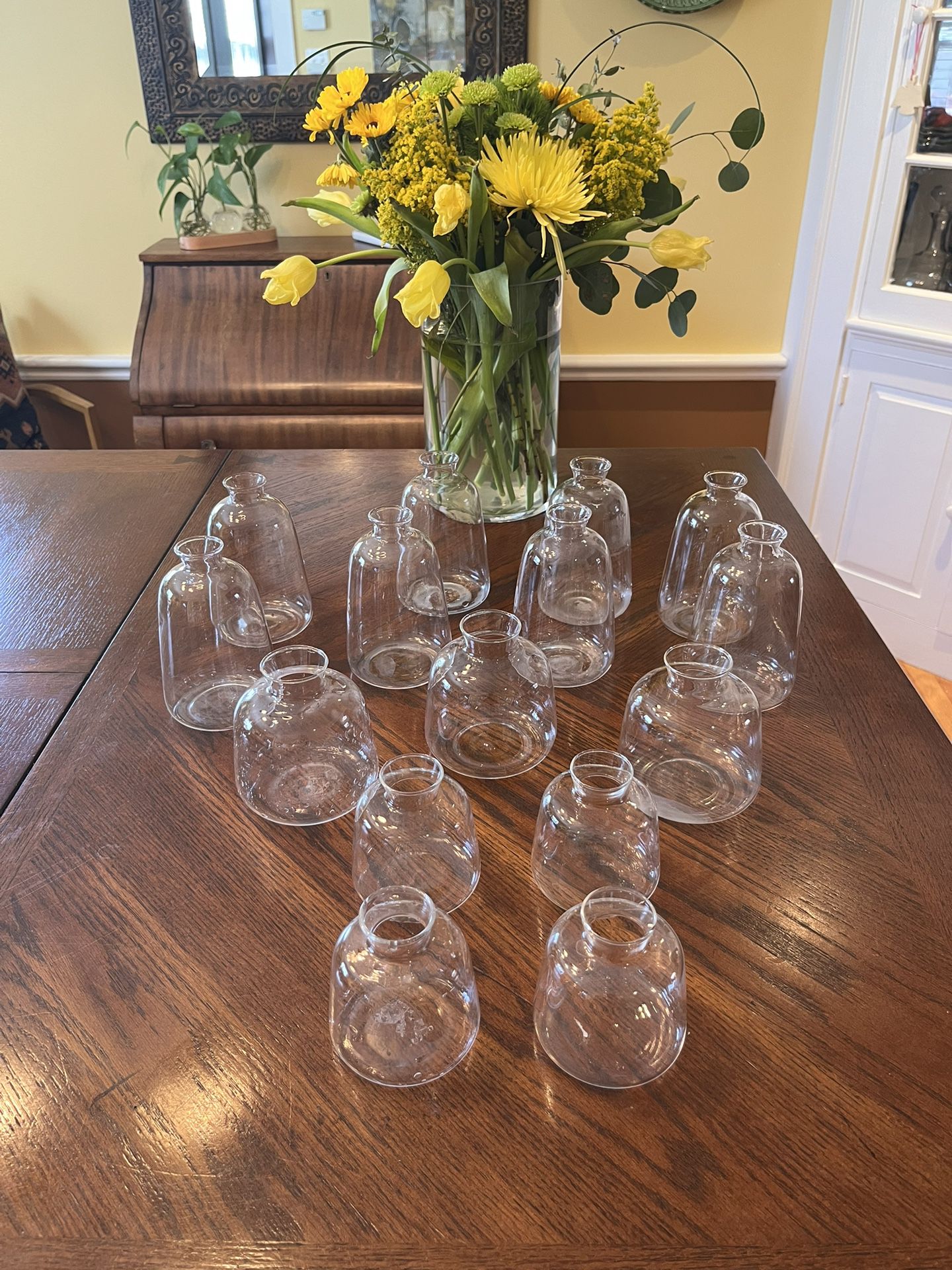 15 New Clear Glass Flower Vases