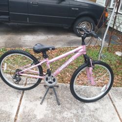 Girls 24" Nishiki Mountain Bike 