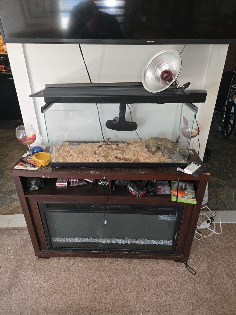 Reptile Enclosure 