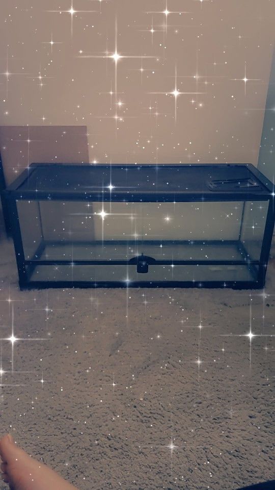 Terrarium 20 Gallon Tank