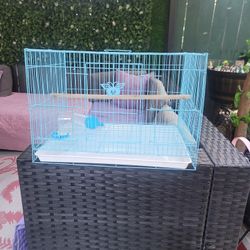 Bird Cage
