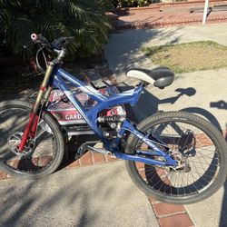 Giant Brand Mountain Bike.